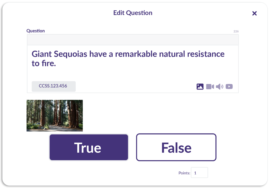 True False Questions in Otus